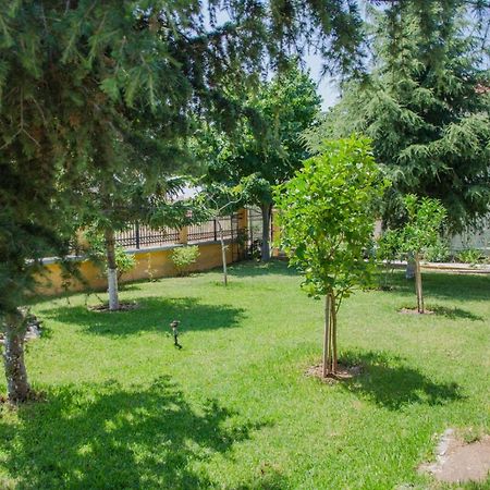 شقة Paressa'S House نيكيتي المظهر الخارجي الصورة