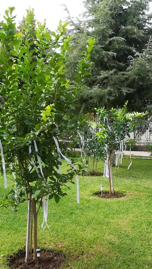 شقة Paressa'S House نيكيتي المظهر الخارجي الصورة